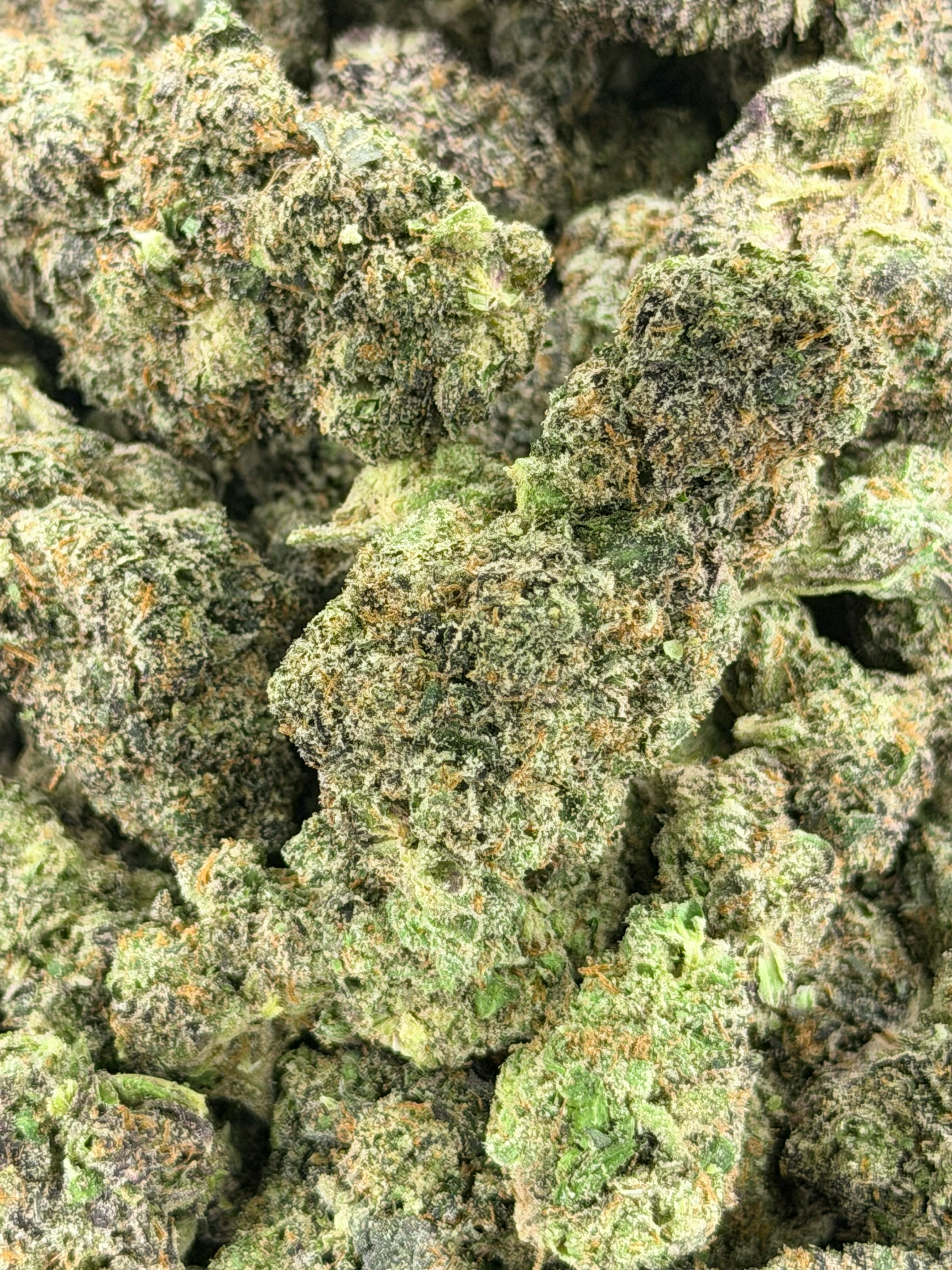 Sherblato | Deli Flower (Gold)