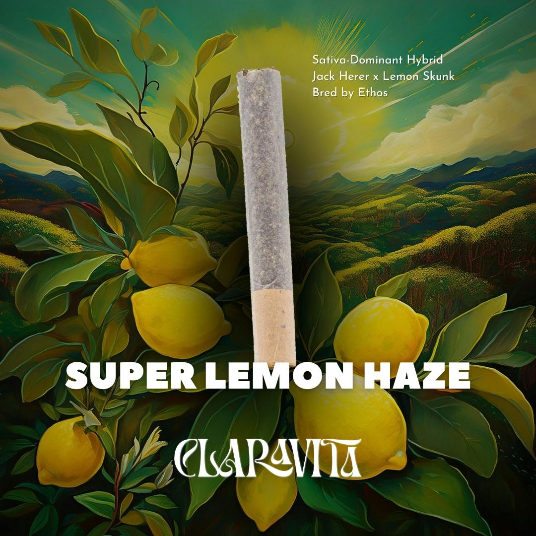 Super Lemon Haze Rbx3 | Straight Rolled Cannon | 1g | by Claravita
