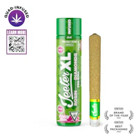 Prickly Pear Jeeter XL Infused Pre-Roll | 2g - product image at King of Budz