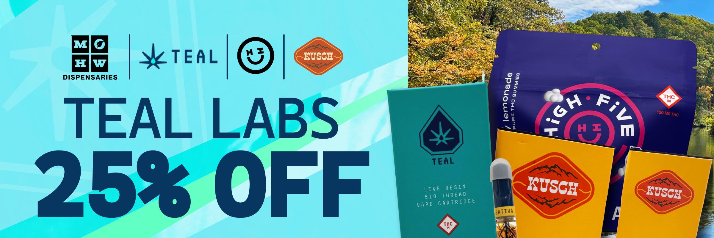 25% off teal