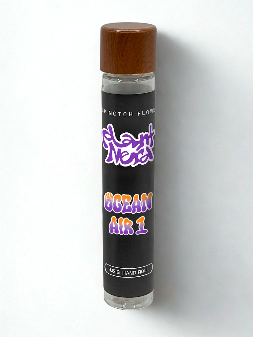 Plant Nerd Hand-roll | Ocean Air #1