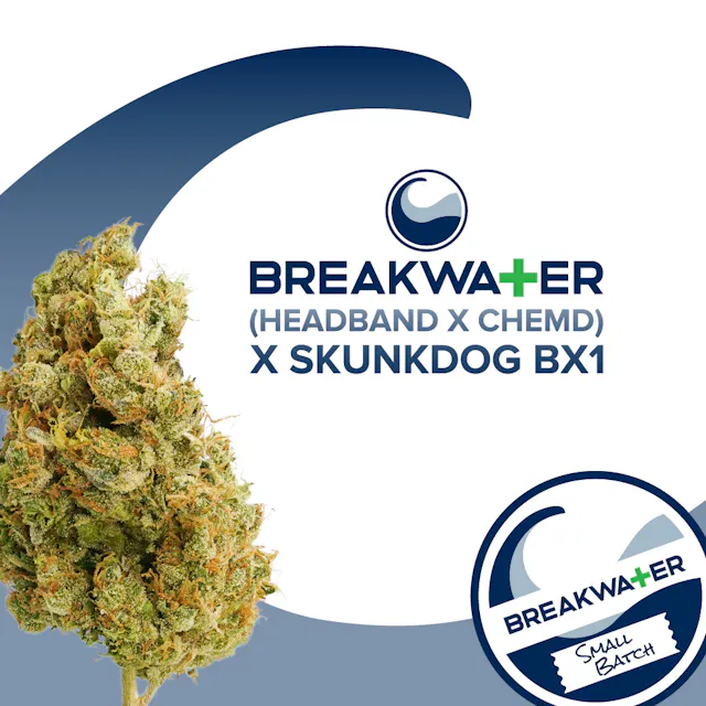 Breakwater Flower (Headband x ChemD) x Skunkdog Bx1 7g (hybrid)