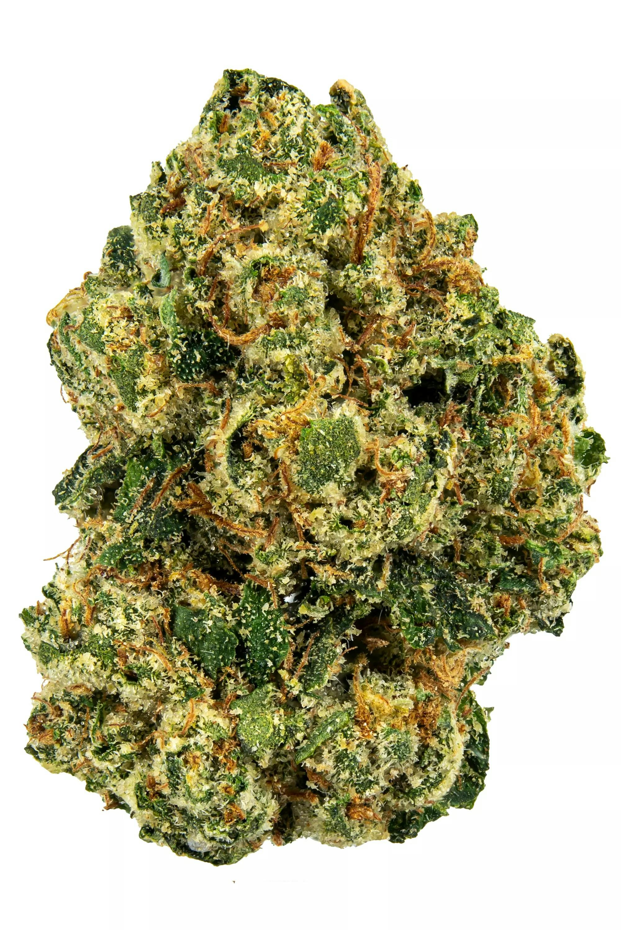 DISTRO 10 DISTRO 10 | LEGEND OG | BULK | INDICA — FLOWER