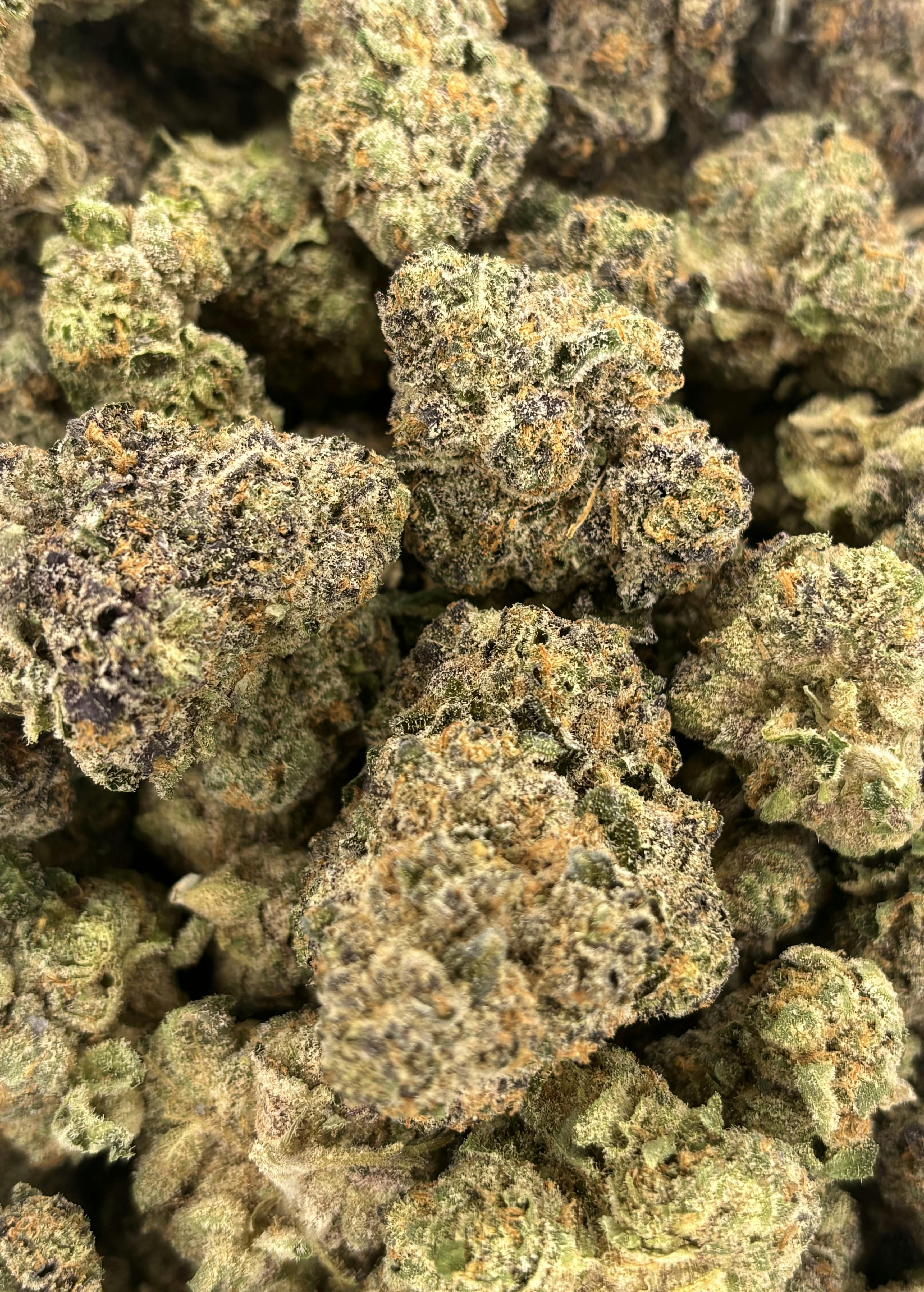 Pro Gro | Rainbow Slapz | Deli Flower