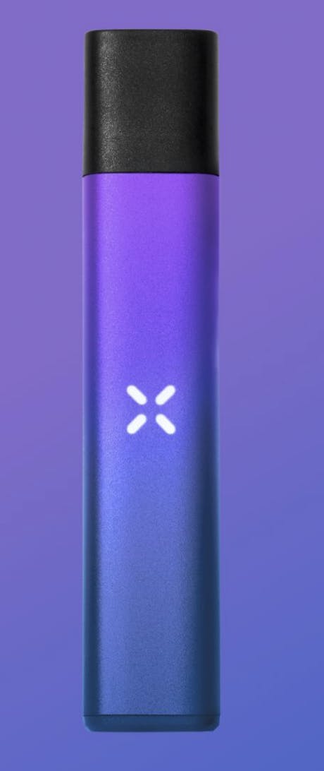 PAX | Dream