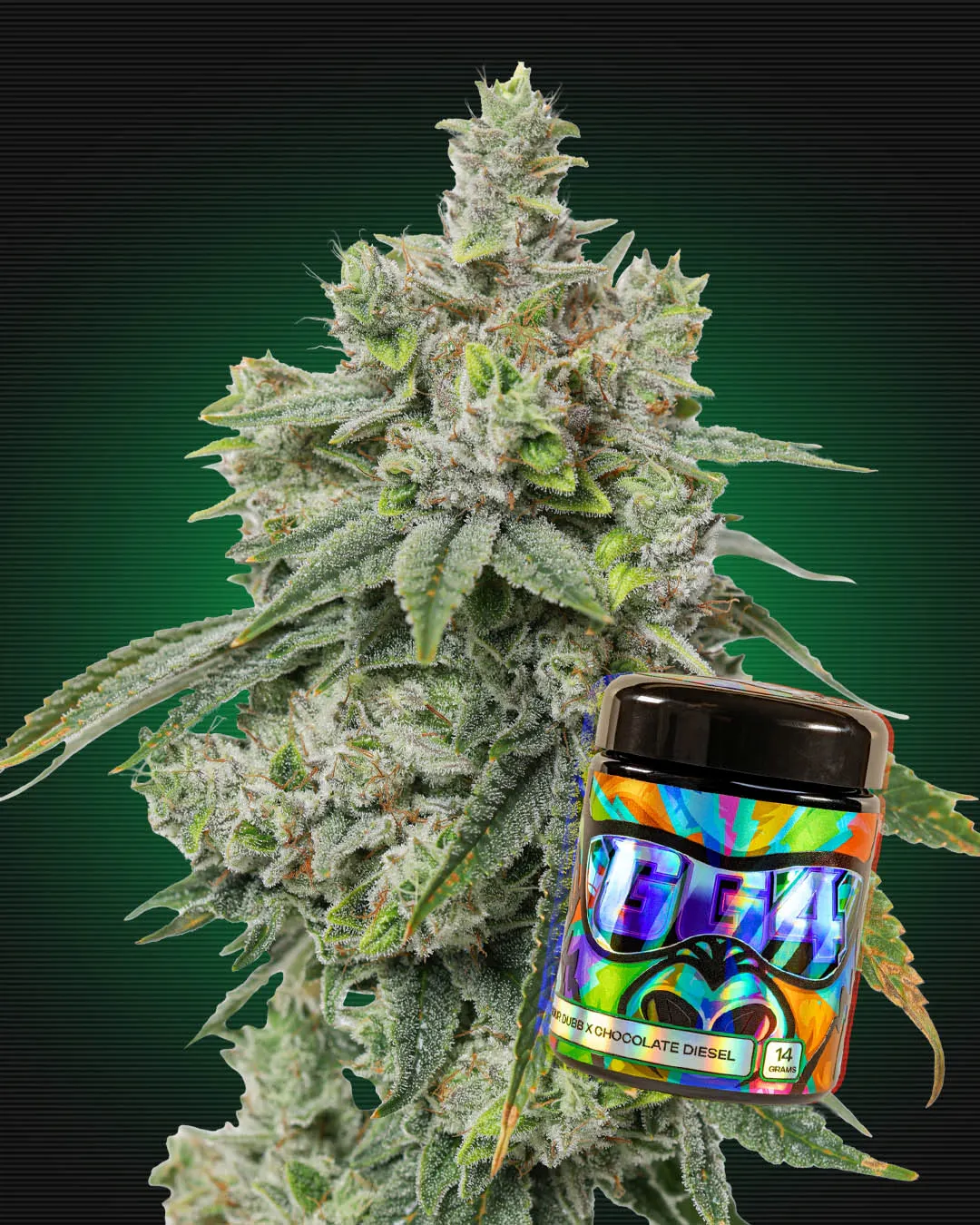 GG4 Packaged 1/2 oz. | Freshy Fine | 14g | Herbal Solutions
