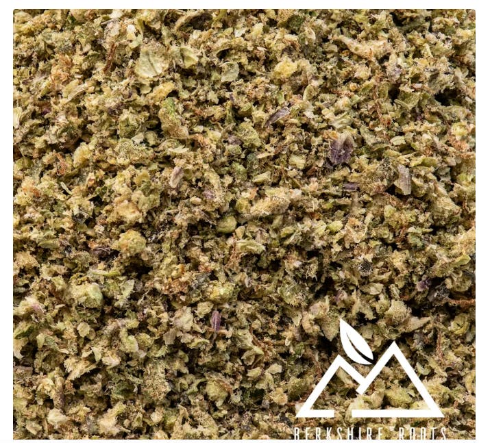 Product Berkshire Roots | Orange Chemeleon | Preground