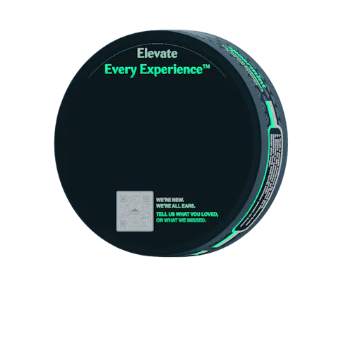 KSHN Pouch Co. | Spearmint 200mg THC Pouch (20-pack)-3