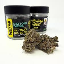 Hashtag Honey Daytona Diesel