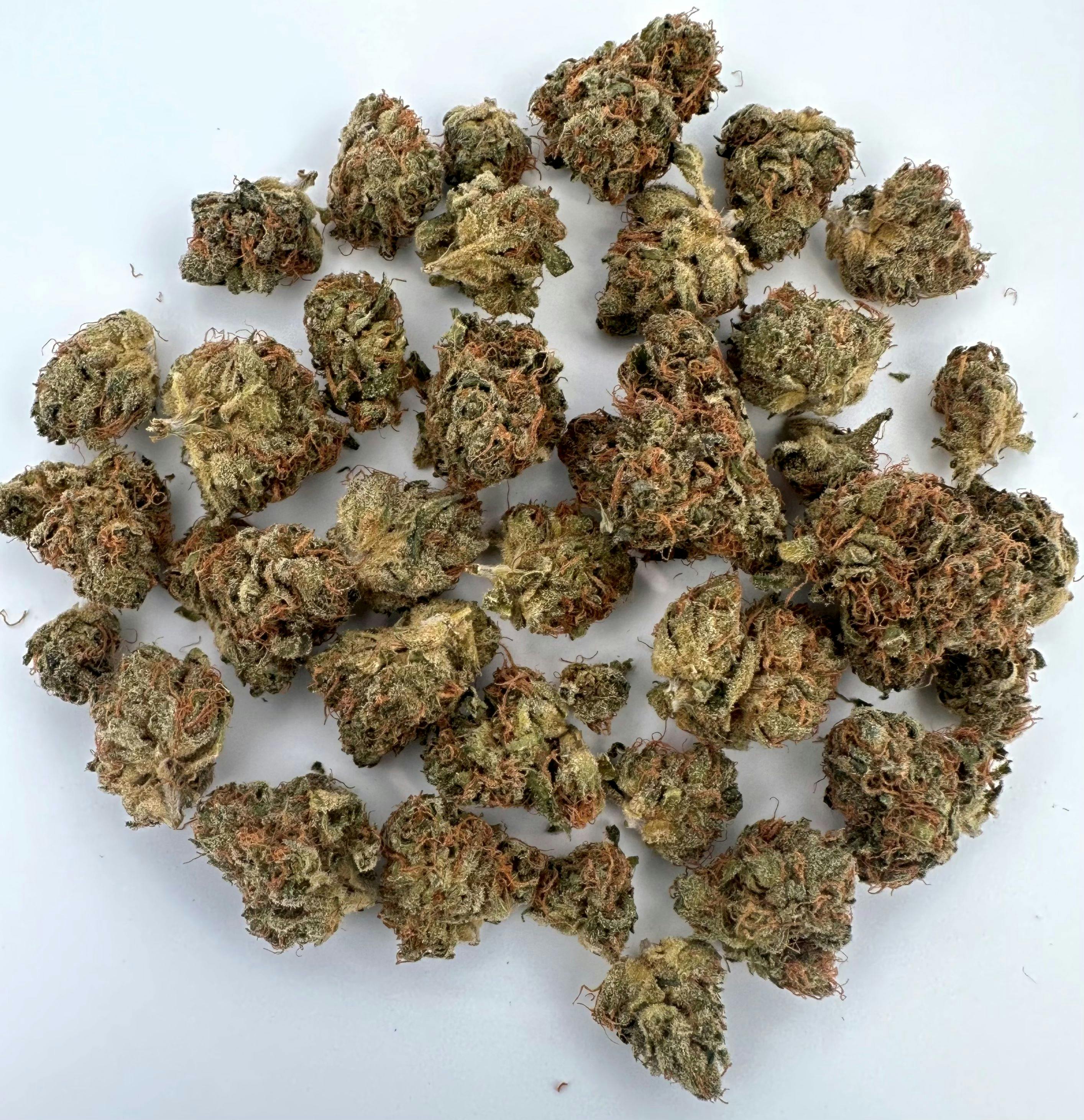 Forte 7g Smalls - Do Si Dos | Etain - Manhattan