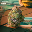 Capy Pre-Pack WARNING High THC