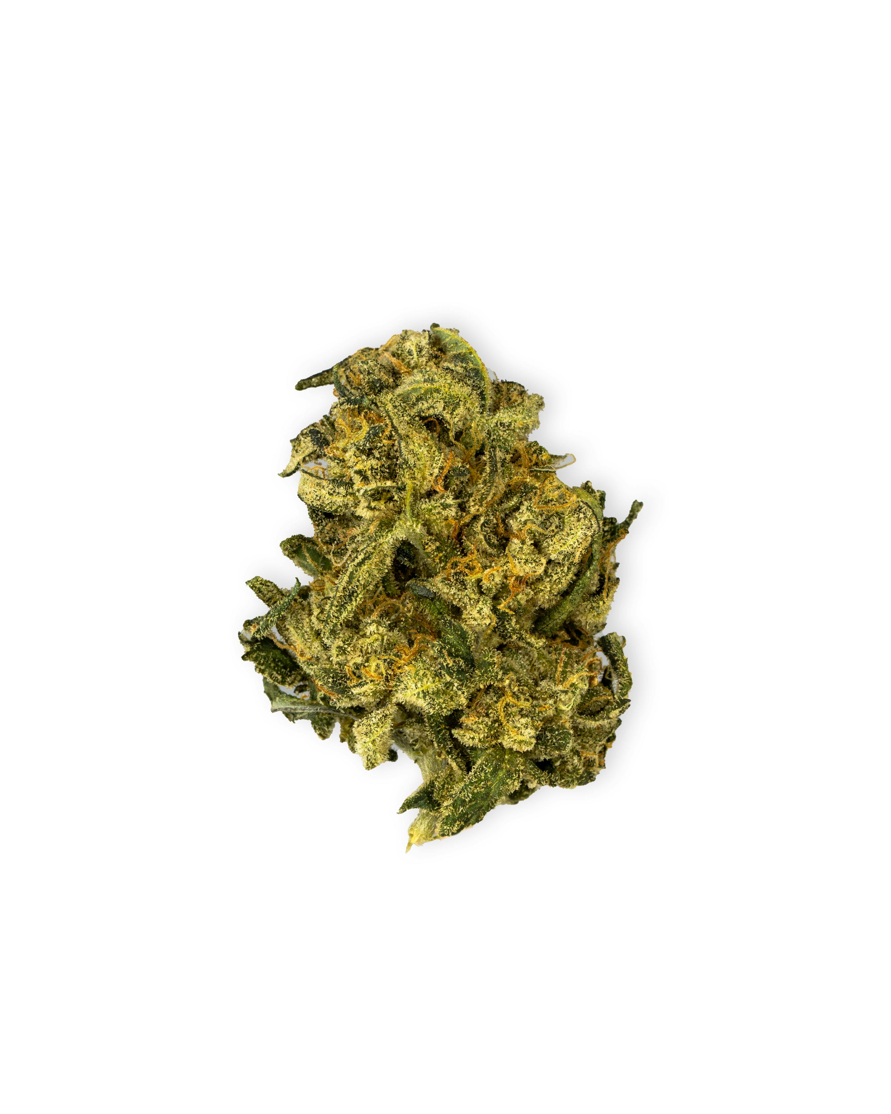 ほぼ新品 Kapital フラワーウエストポーチ WEED 420 Shop Back Home Cannabis Co. NORTHERN LIGHTS in New York | Gotham