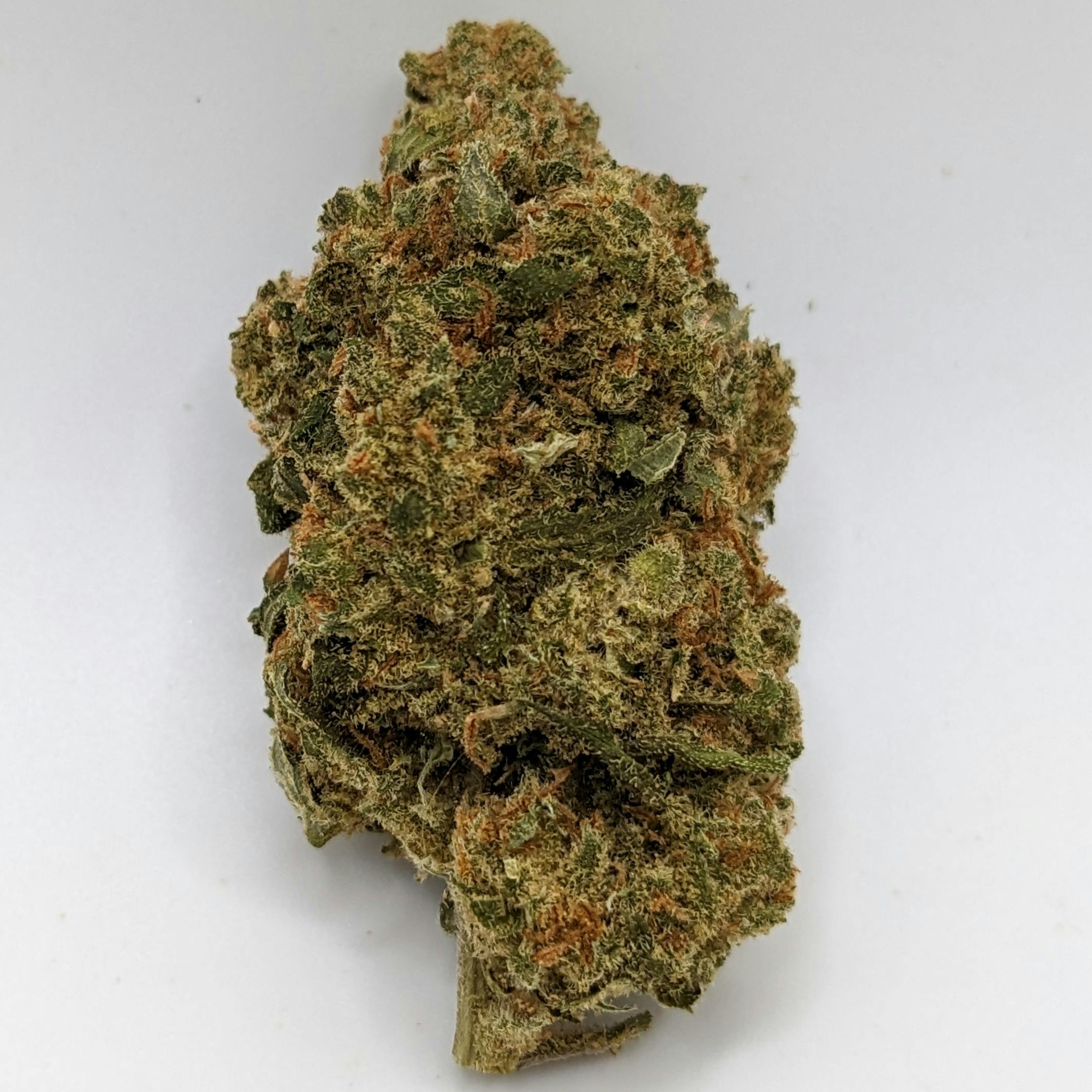 26+ Dispensary Grand Junction Colorado