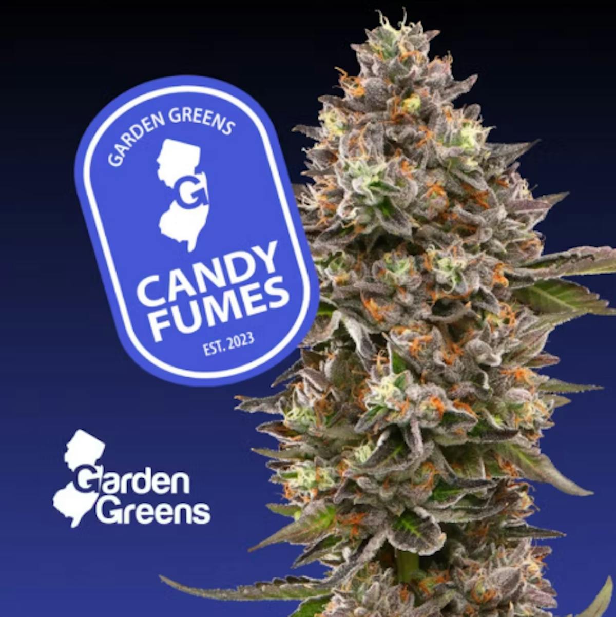 Photo of Garden Greens | Candy Fumes I