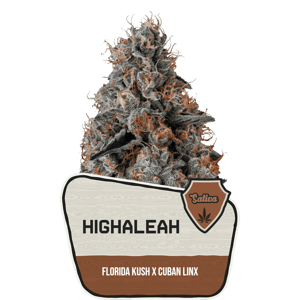 Avitas | Bulk Bud - Highaleah