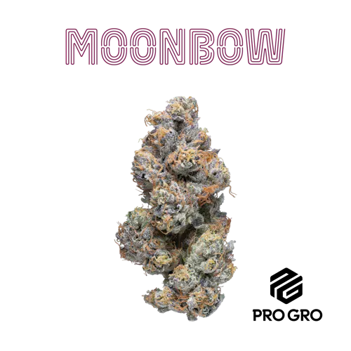 Moonbow 112 Deli-1