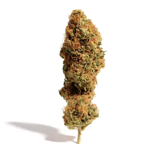 BS- Flower | GH1-1