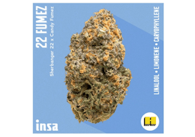 Sunshine daydream - INSA MA Dispensary Sunshine daydream - INSA MA Dispensary
