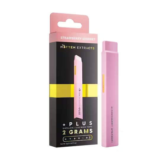 Gas Hunters Rainbow Runtz Disposable - Puff Cannabis Dispensary in MI