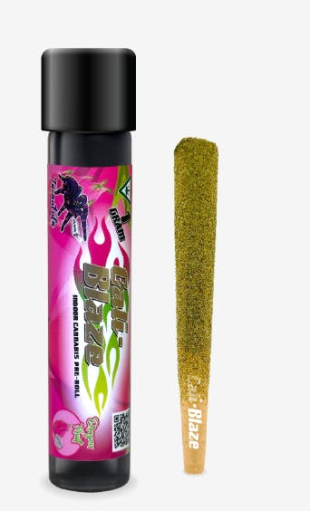 Cali Blaze Tarantula | Dragon Fruit (S)
