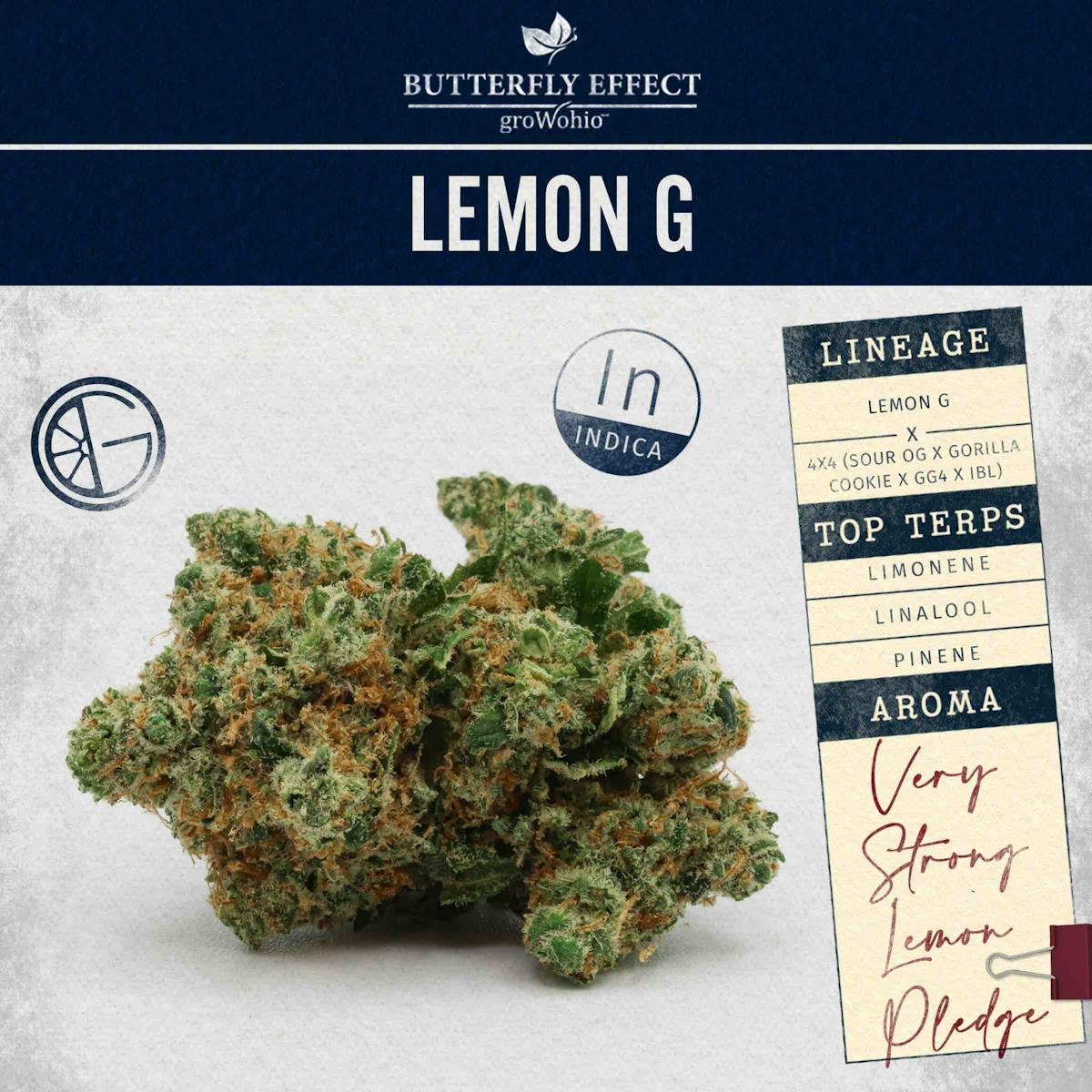 Photo of Lemon G