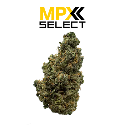 MPX Select Strawberry Limeade Flower | GrowHealthy