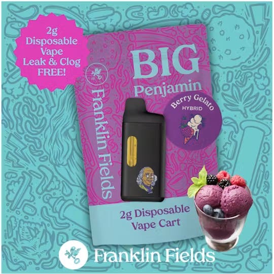 franklin fields disposable vape | Berry Gelato Distillate at Homegrown Flavours:Blue Edition BUY GEEK BAR PULSE winter mint