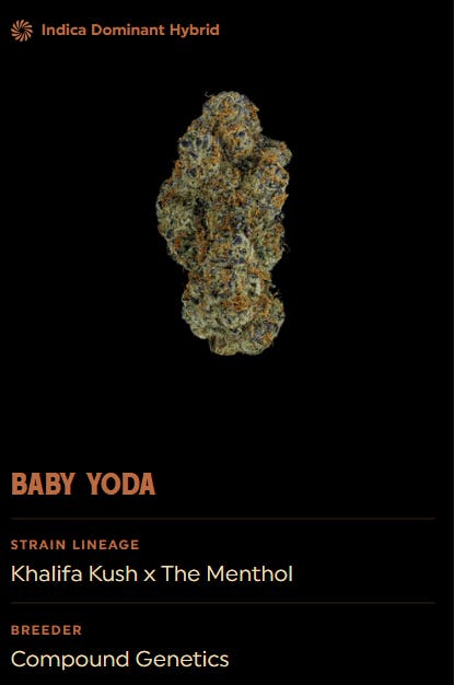 Baby Yoda Flower 14g