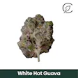 White Hot Guava