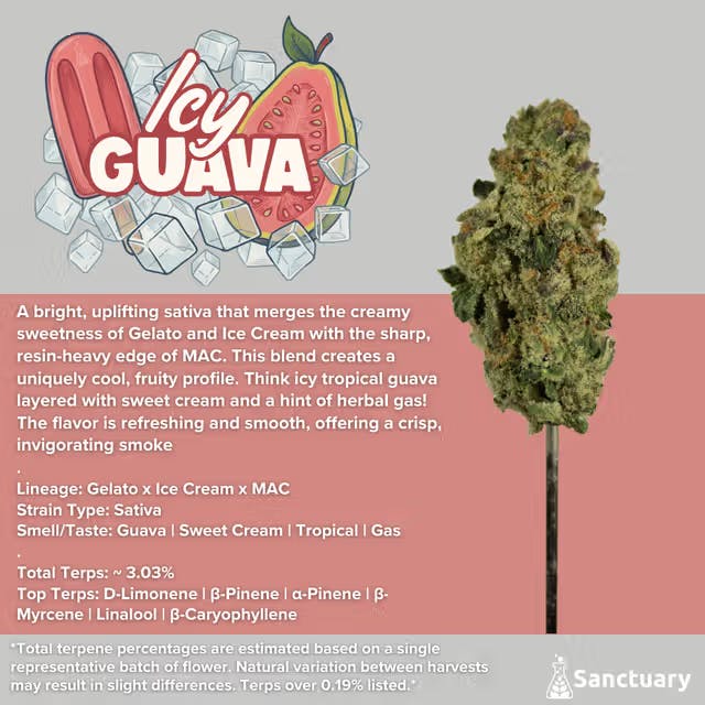 Sanctuary - Flower 3.5g - Icy Guava