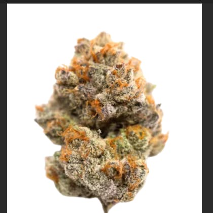 Product Street Tartz Buds