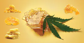 Concentrates category image