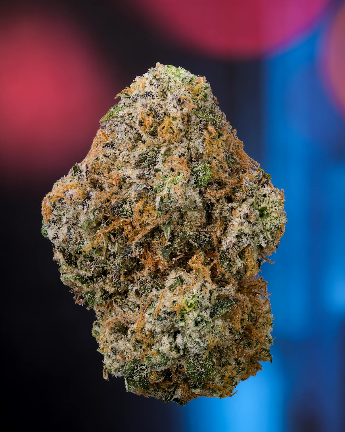 Photo of Disco