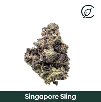 Curaleaf Nuclear Mfns Preroll | T21.20% | 01186 | 1g - Higher