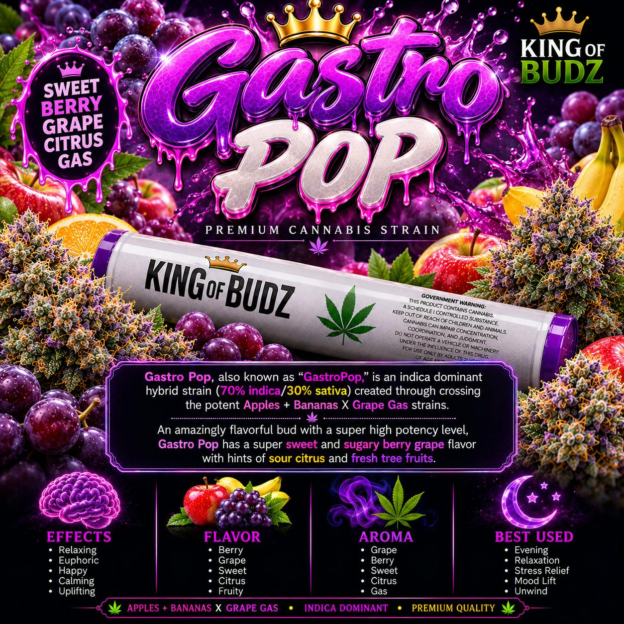 KOB - 1g Preroll - Gastro Pop