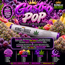 KOB - 1g Preroll - Gastro Pop - PRE_ROLLS by King of Budz at King of Budz