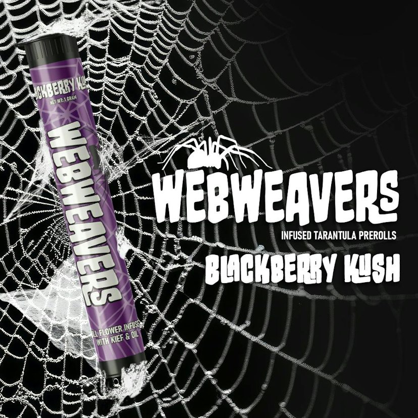 Webweavers - Blackberry Kush Tarantula