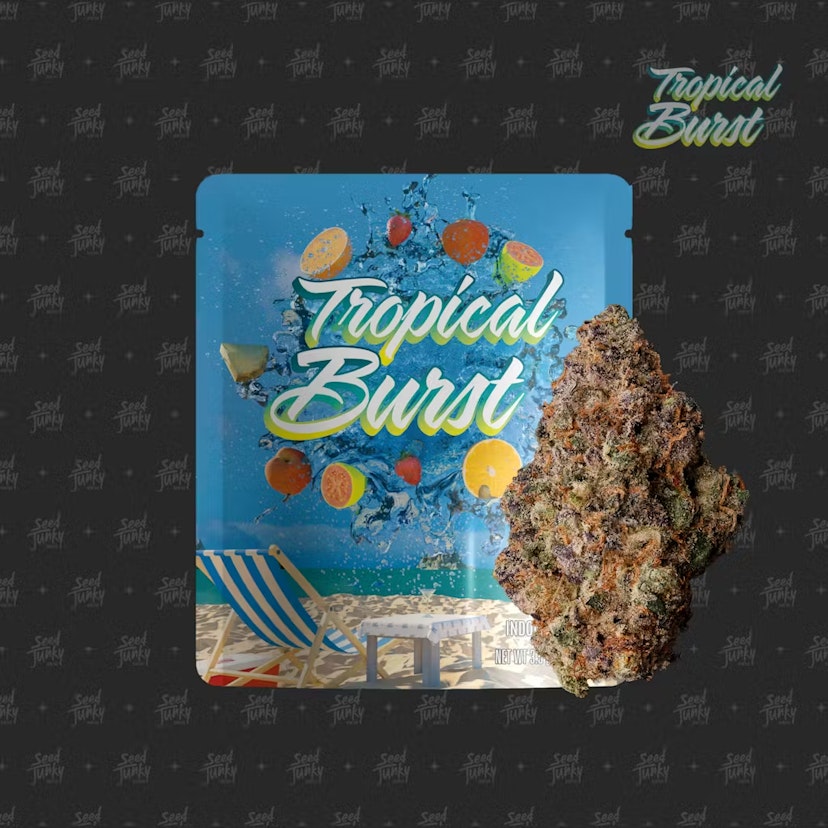 Seed Junky Prepacked Flower | Tropical Burst
