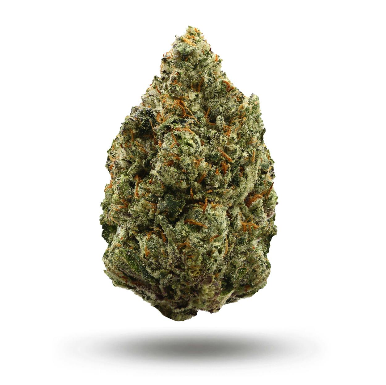 GATSBY CANNABIS CO. GATSBY CANNABIS | PLASMA GAS HYBRID — PRE_ROLLS