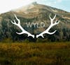 B2G1 Wyld Gummies 