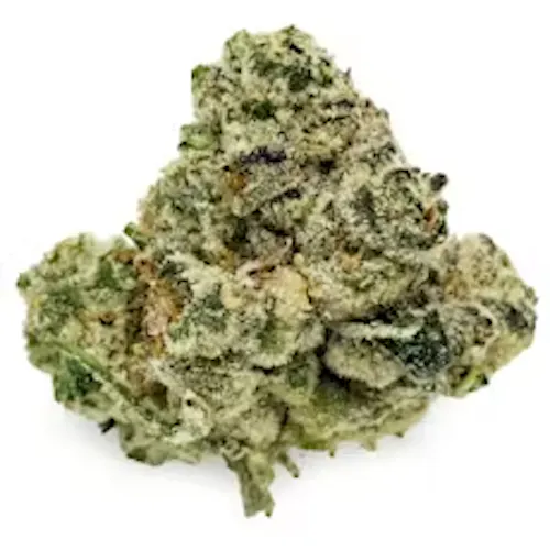 Common Citizen Purple Pop Prepack Flower Rec-1