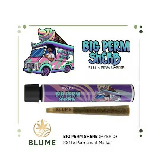 Big Perm Sherb Pre-Roll Hybrid by Blume – Pre-Rolls at Gatsby Cannabis
