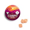 B2G1 Camino Gummies