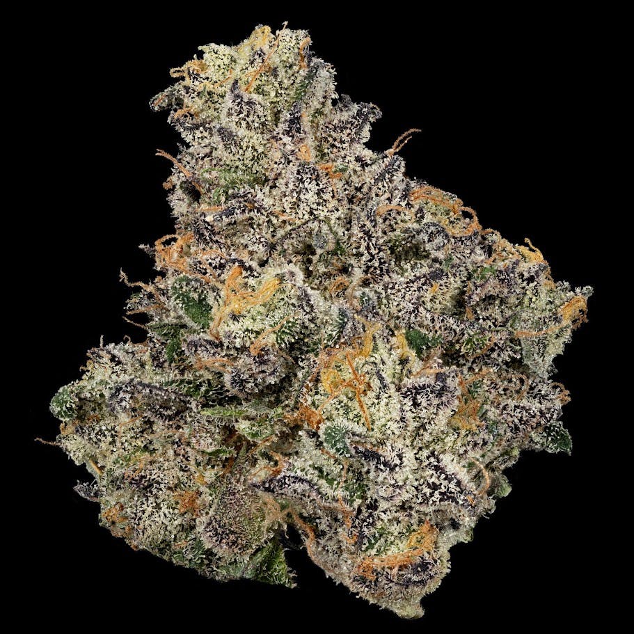Product: U4EA Farms | Sherb Cream Pie | Flower