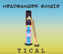 Headbanger Boogie | TICAL