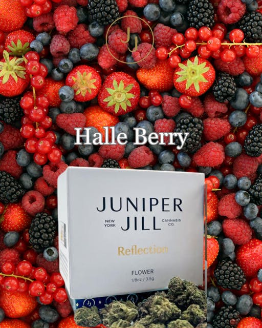 Product Juniper Jill - Halle Berry - 3.5g - Flower