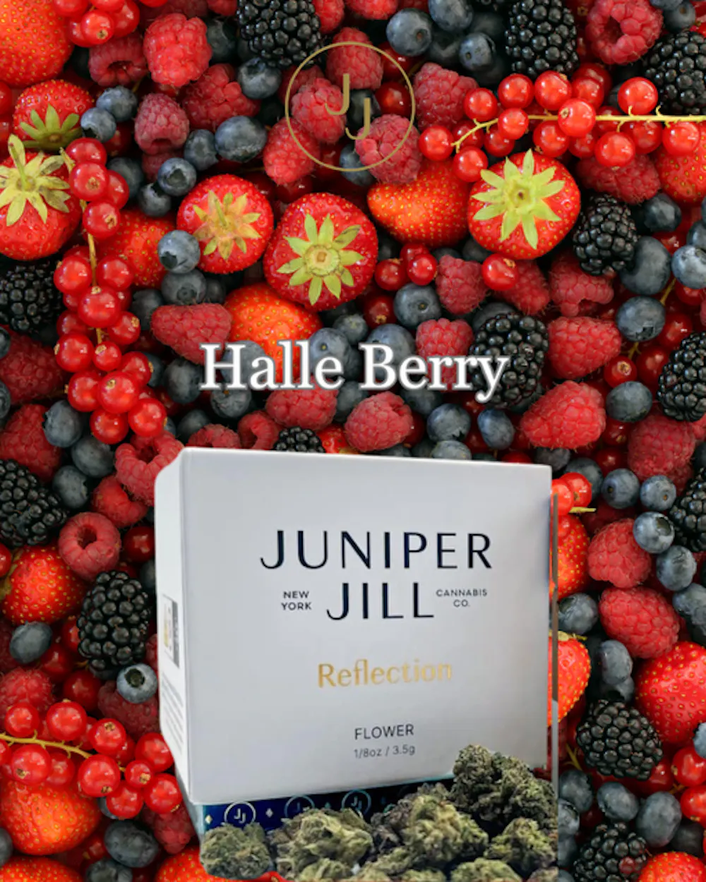 Product Juniper Jill - Halle Berry - 3.5g - Flower