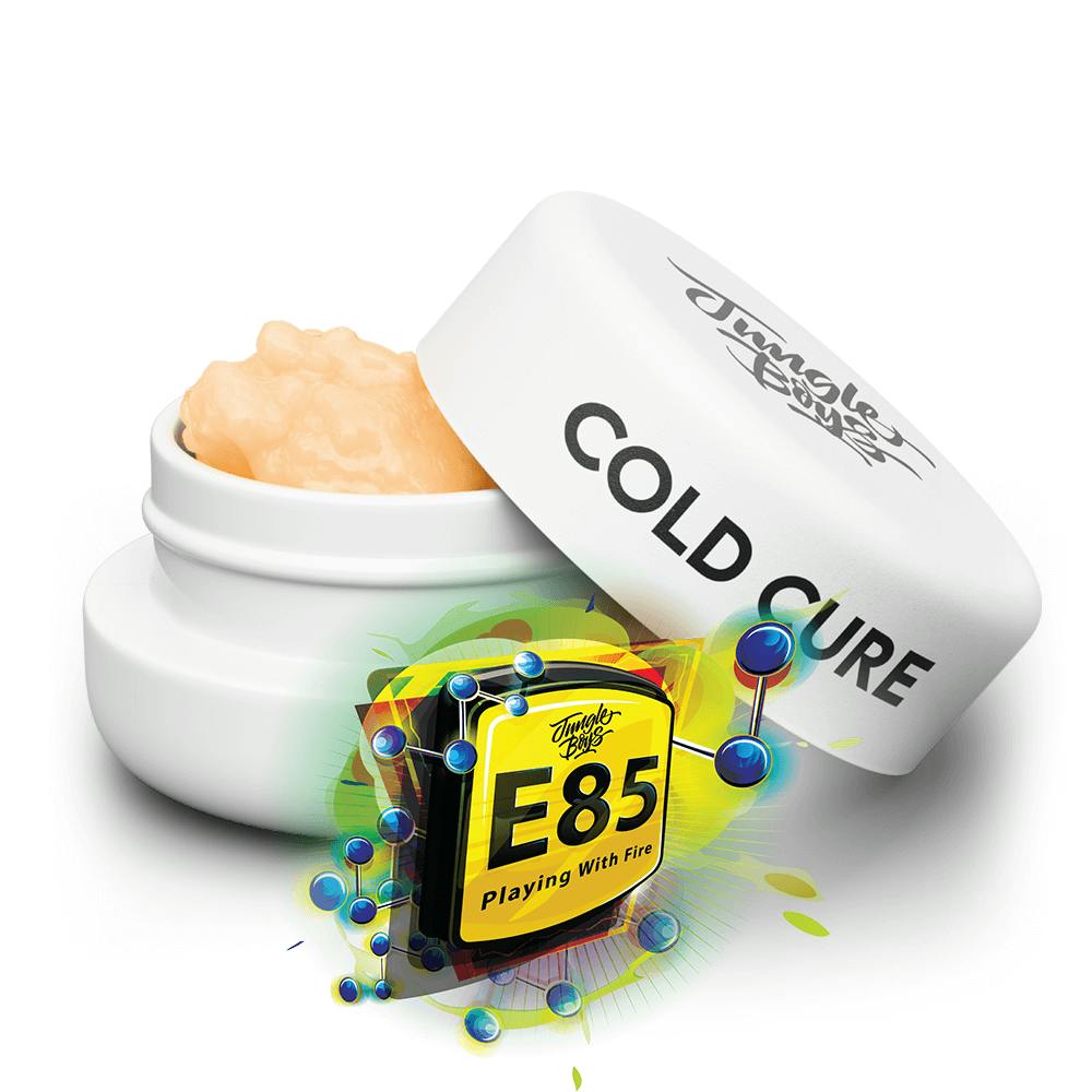 【カフェboy】ペアコイル Shop E85 - Cold Cure in Miami Beach | Jungle Boys