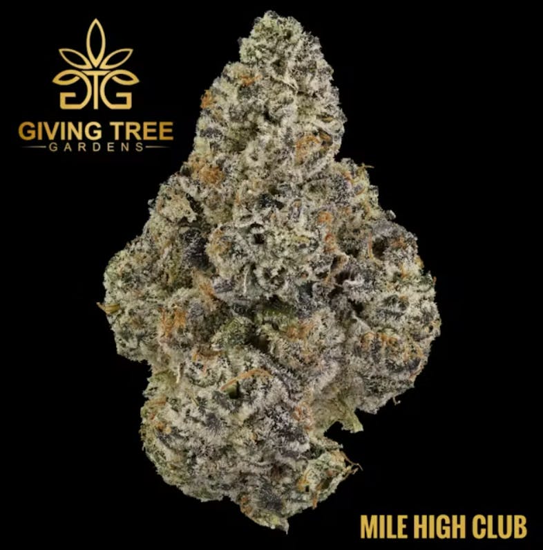 Giving Tree | Mile High Club | Shake/Trim Perpacked | 28g | Indica