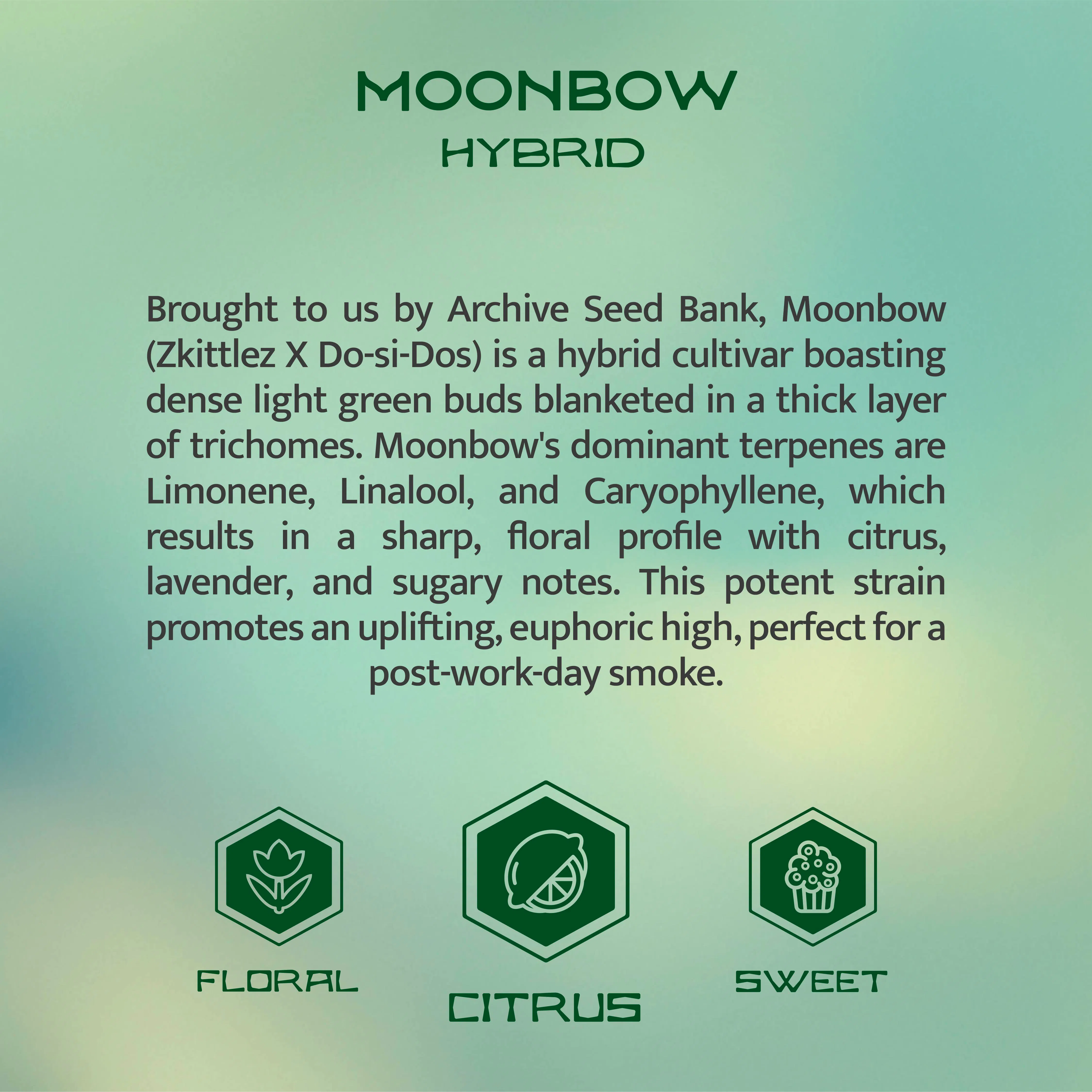 Flower | Island | Moonbow | Mission (South Chicago)